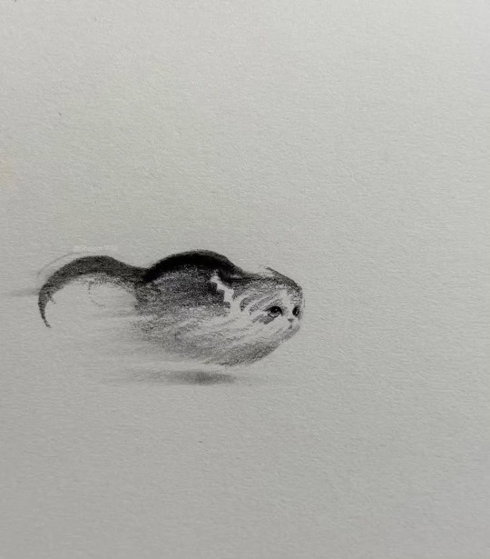 gregorio catarino tweet media