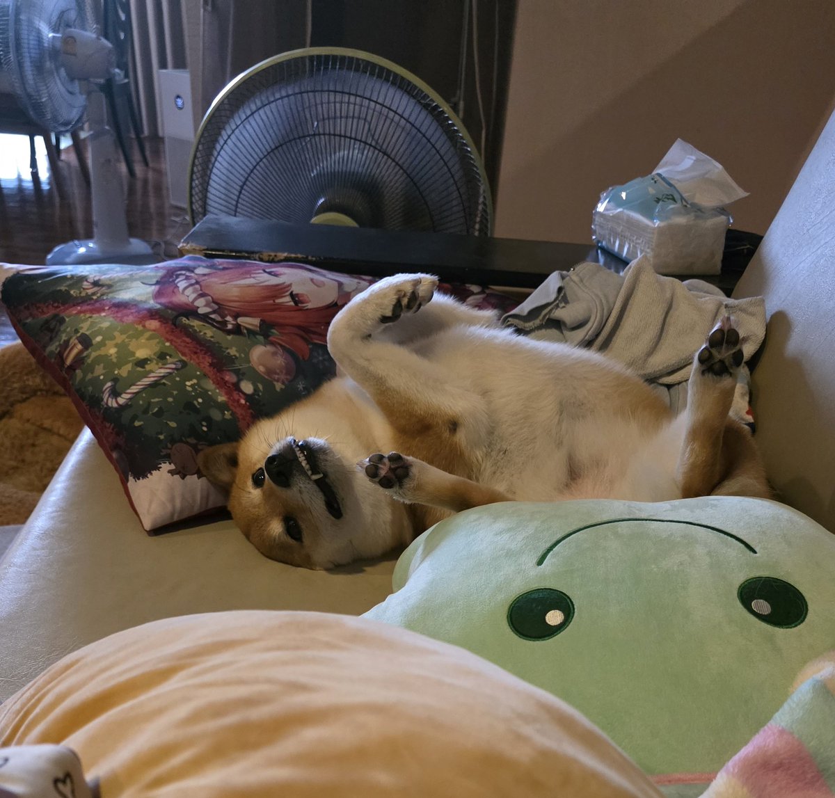 Sisira Hydrangea🌿🔮 Pixela S tweet media