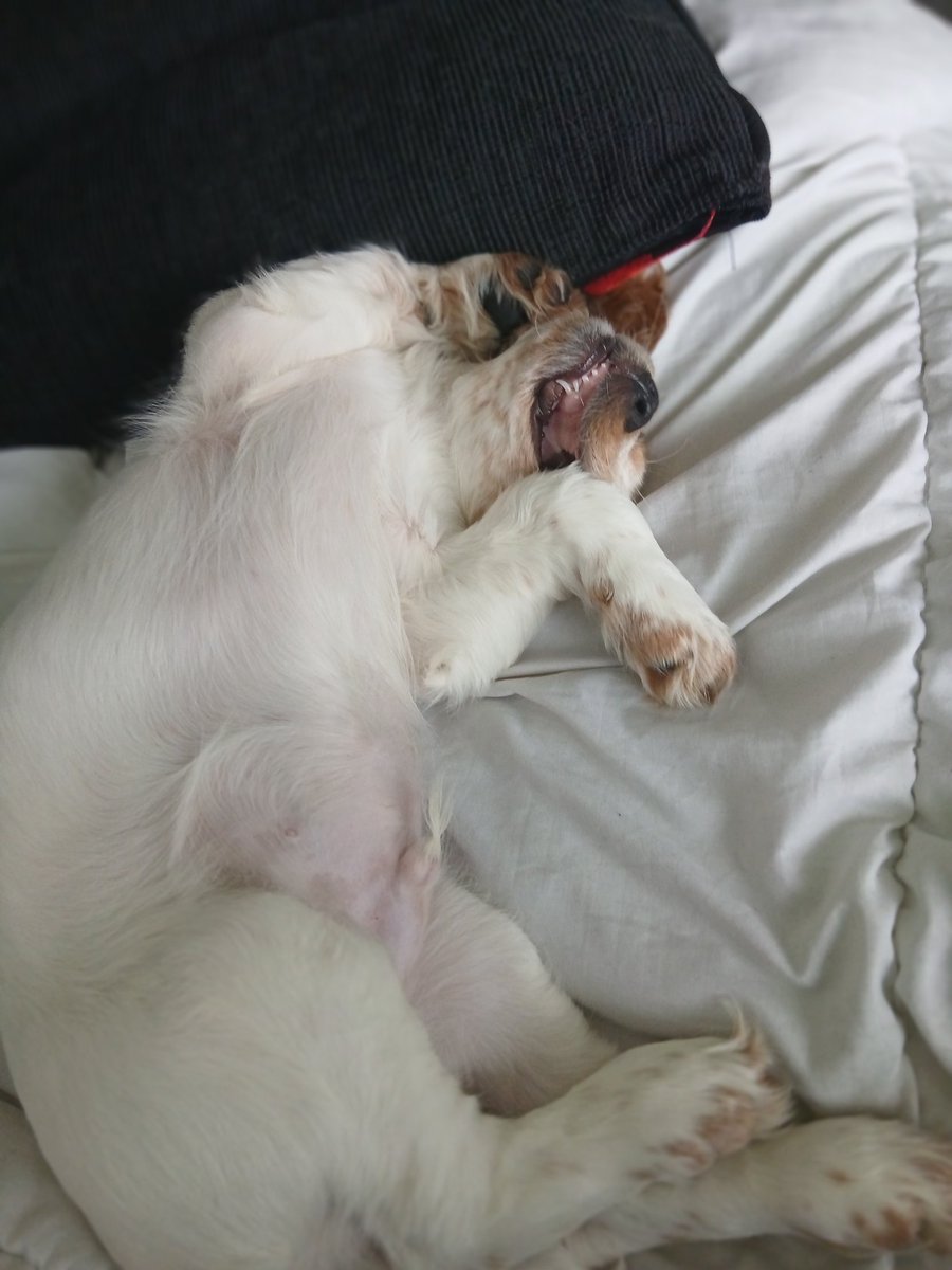 Leeds Fella : Slava Ukraini 🇺🇦 🇬🇧🇨🇦🇲🇽🇪🇺 tweet media