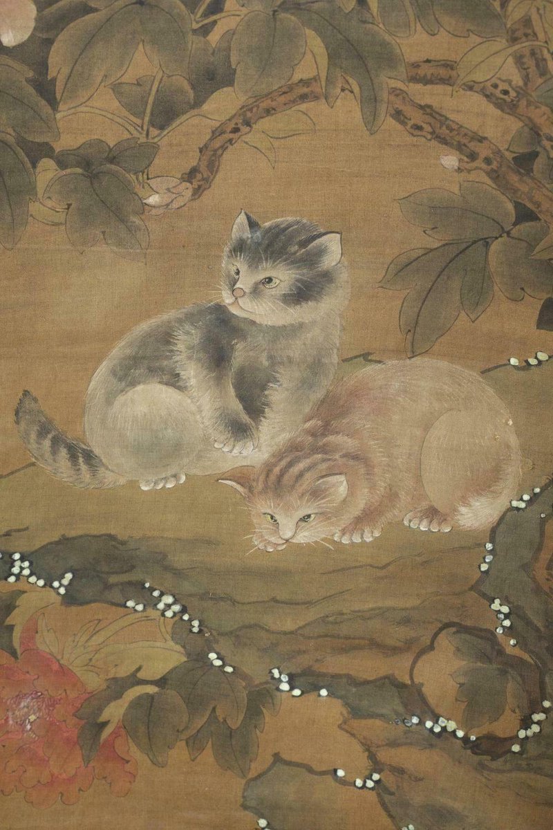 STECHA_NmNm 🌟 tweet media