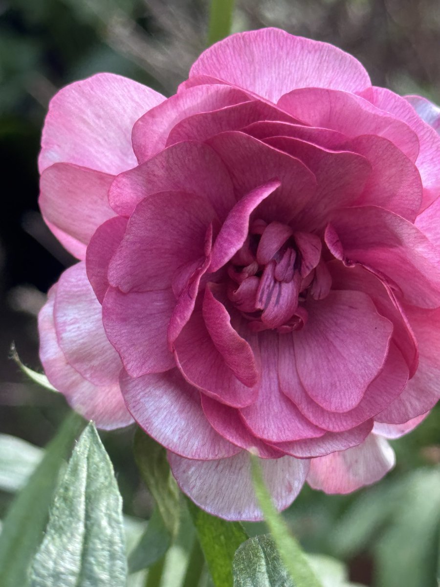 Garden Brocante tweet media