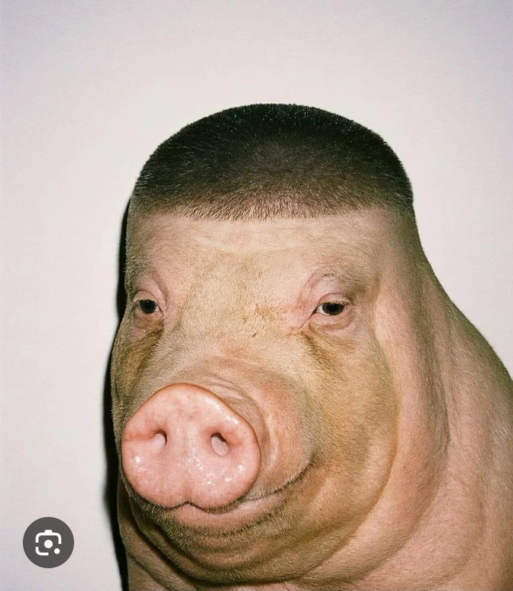 иду в прайм tweet media