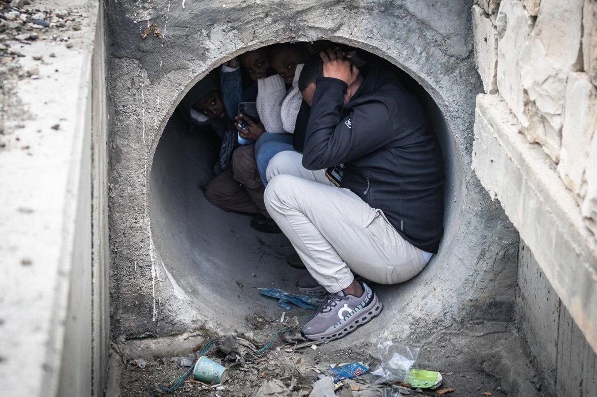 Thomas Keith tweet media