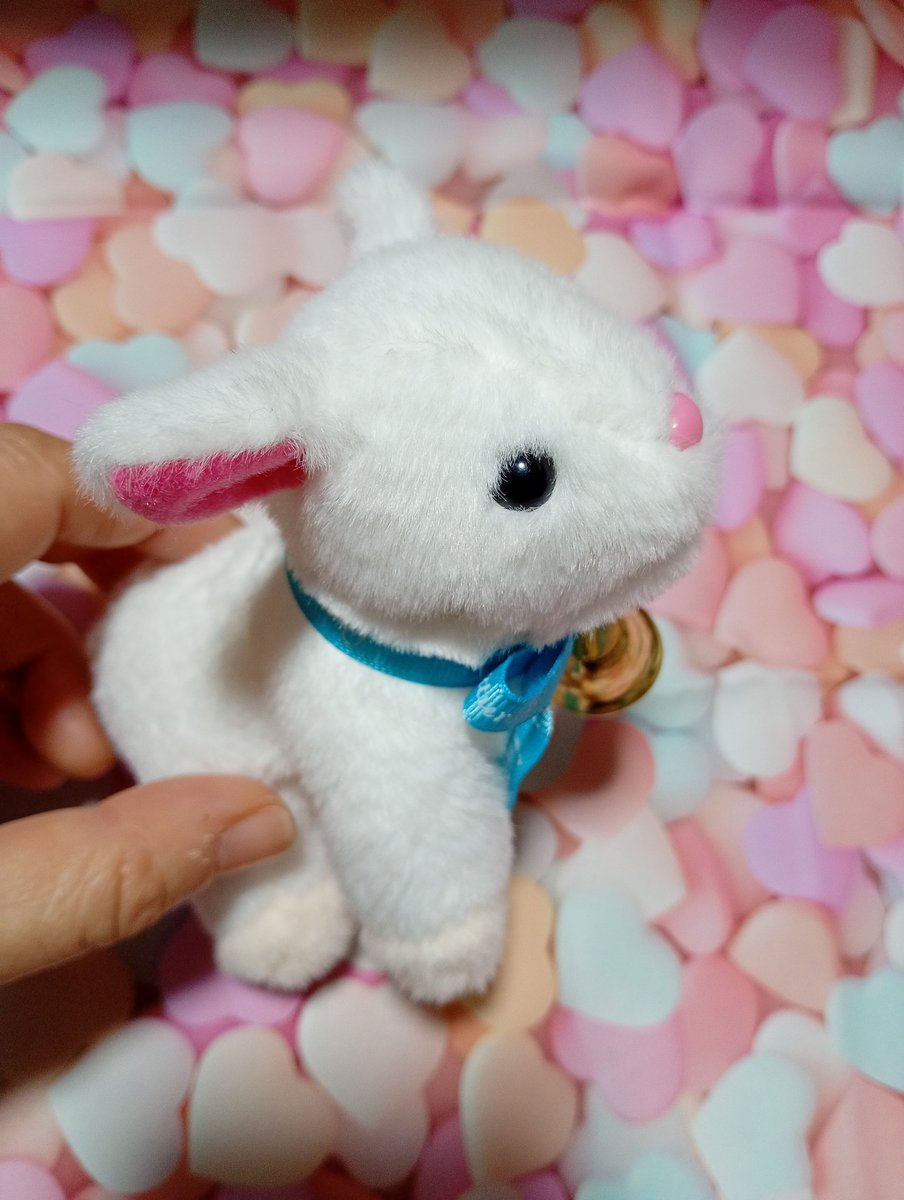 Mme_Non(まだむのん) tweet media