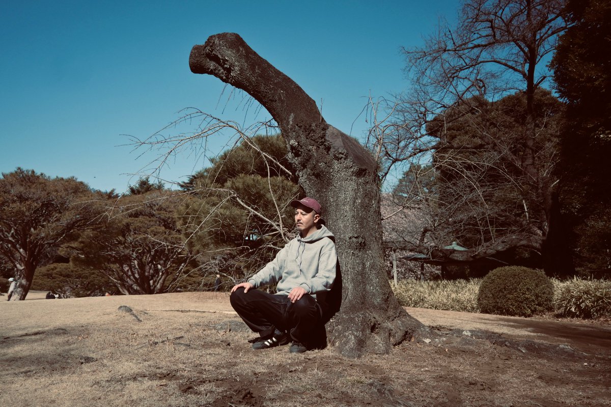 LIVE HOUSE FEVER tweet media