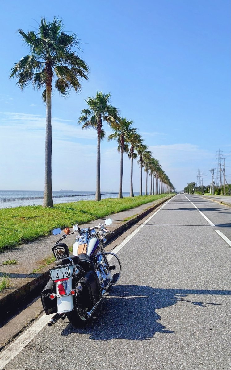 asallin's tweet photo. #これを見た人は背景が海の画像を貼れ https://t.co/TGQf3S5hTU