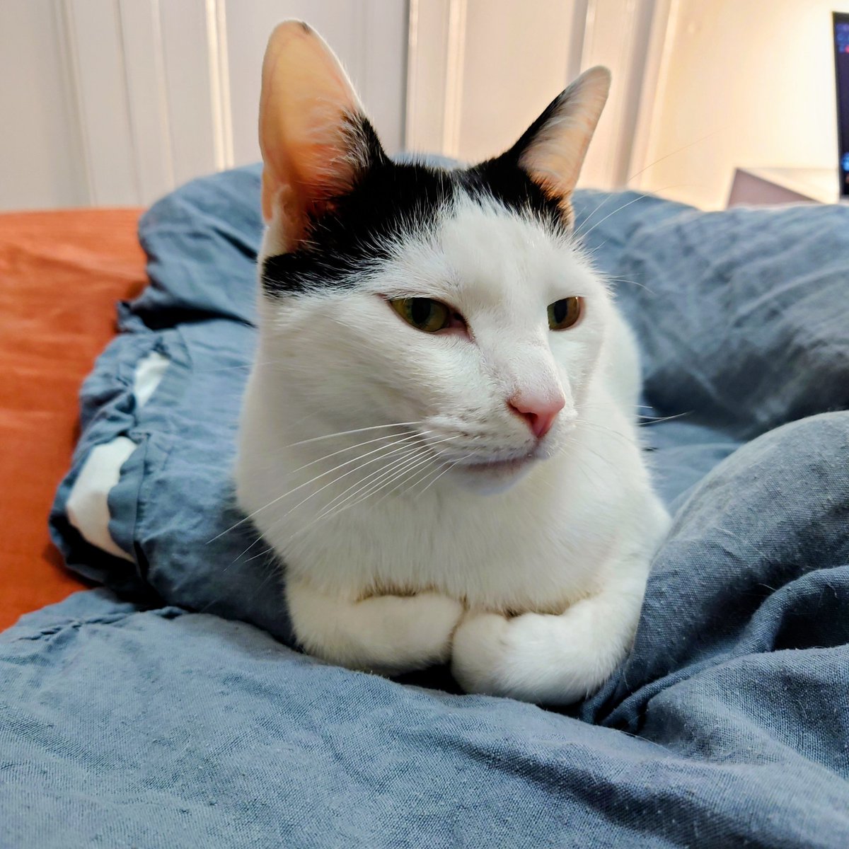 Natalie Kelda tweet media