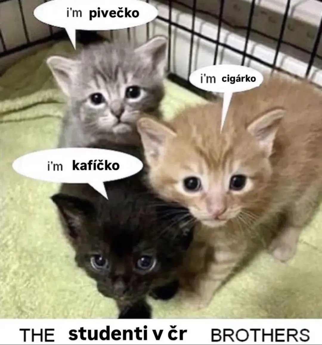 nat alka (@browaritha) on Twitter photo 