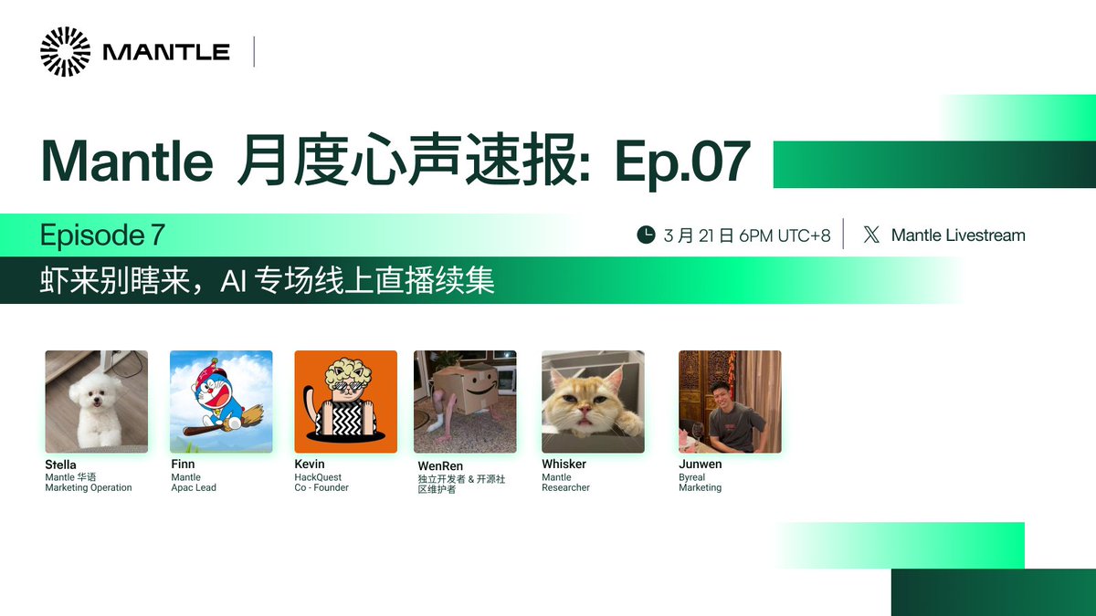 0xMantleCN tweet media