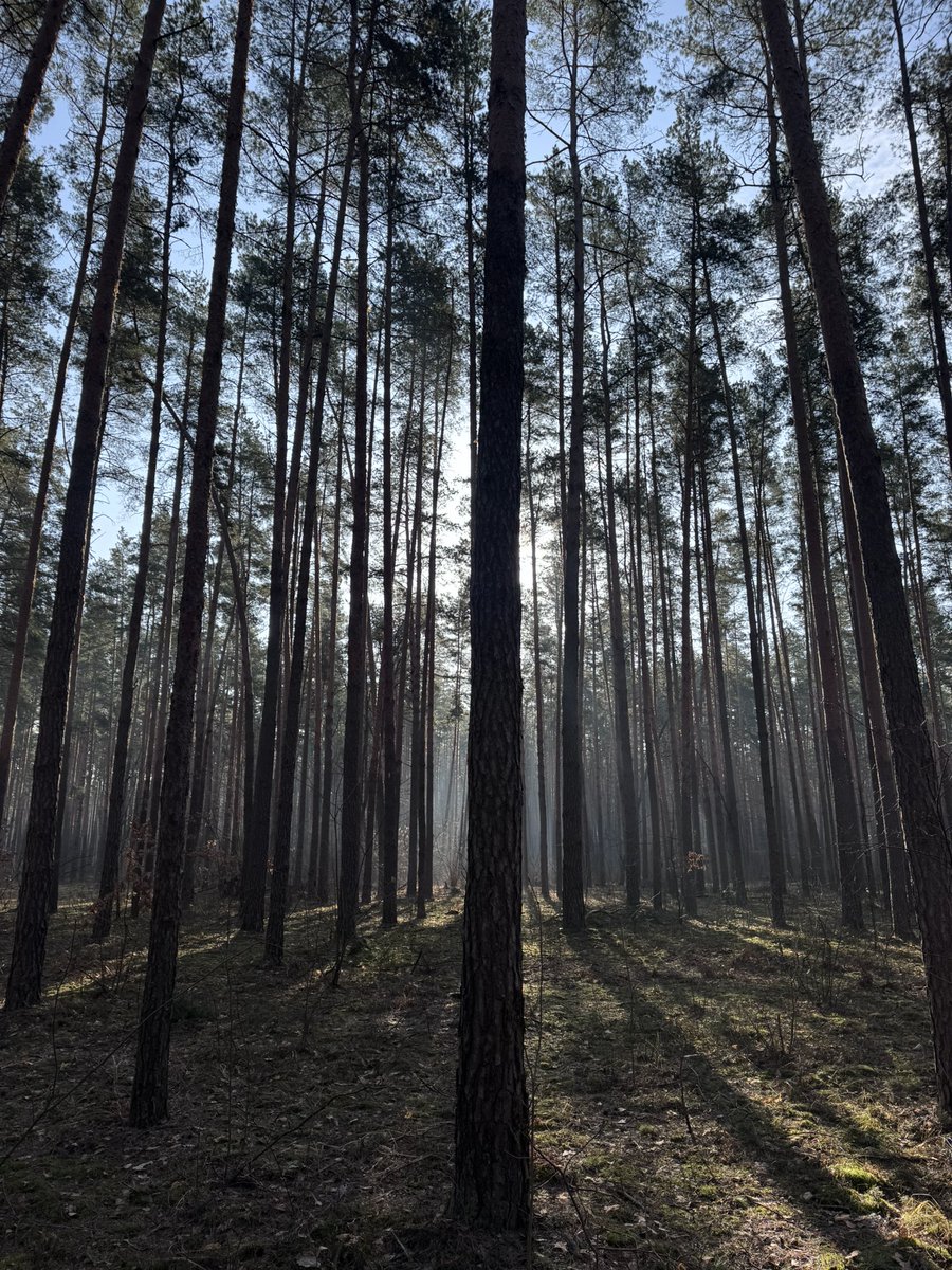 Ніка tweet media