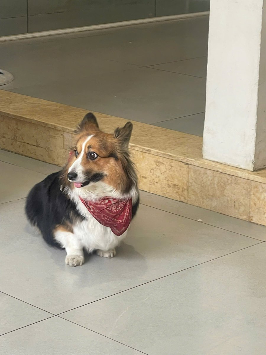 피아띠 tweet media