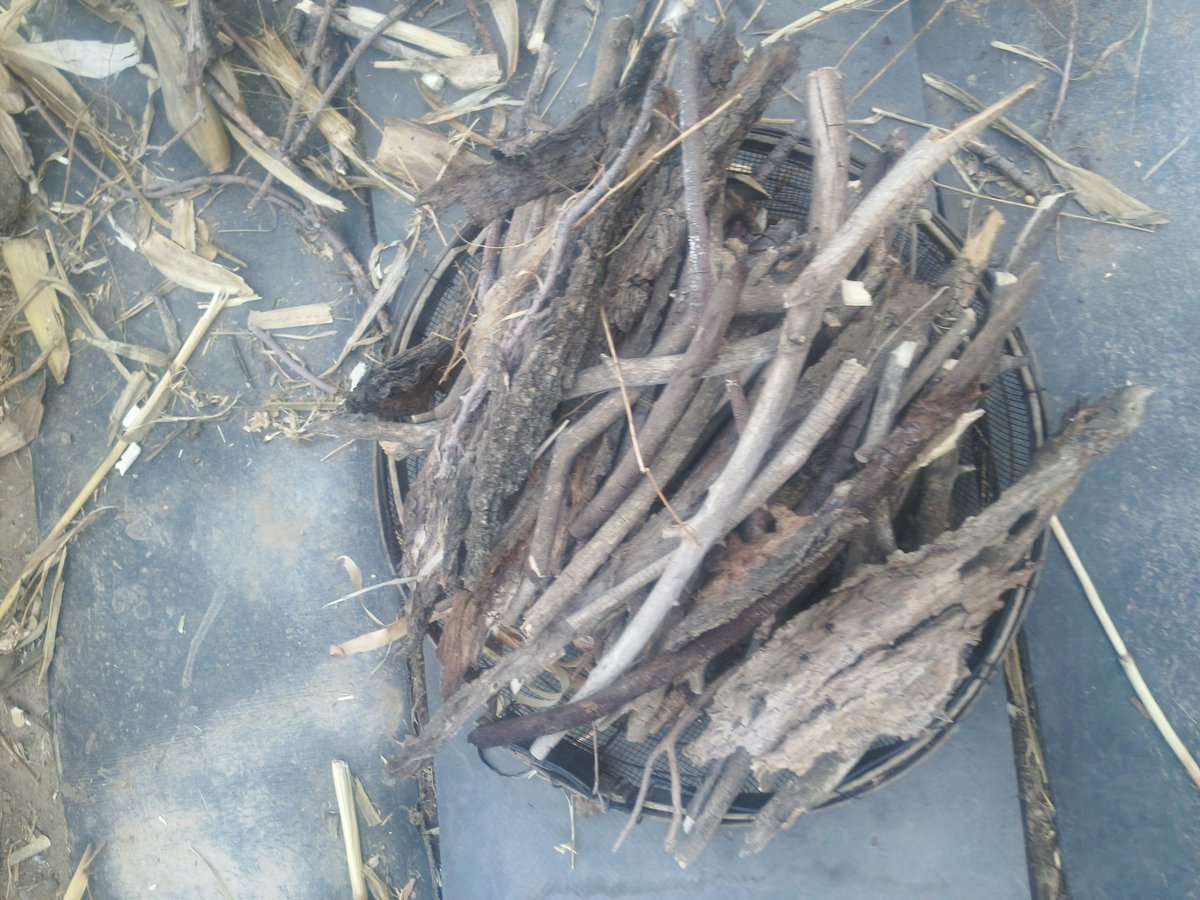 夕凡的撸毛之路 tweet media