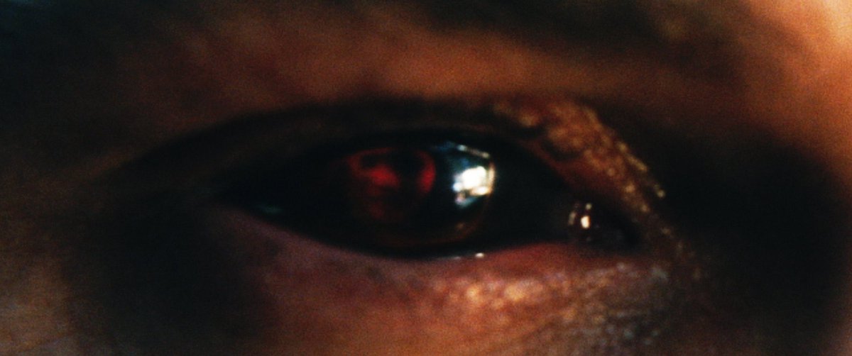 Krish🍁 tweet media