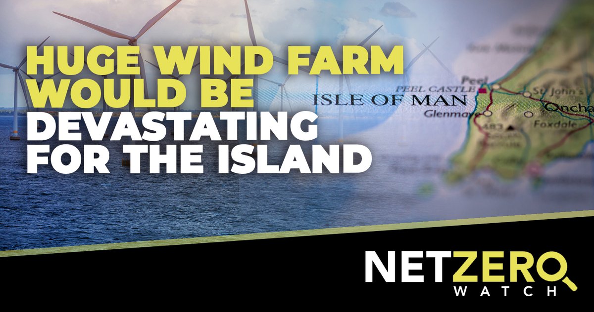 Net Zero Watch tweet media