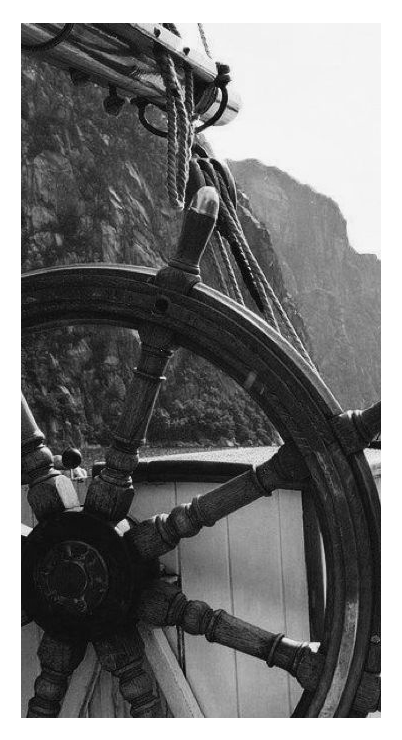 a i u 🌱 tweet media