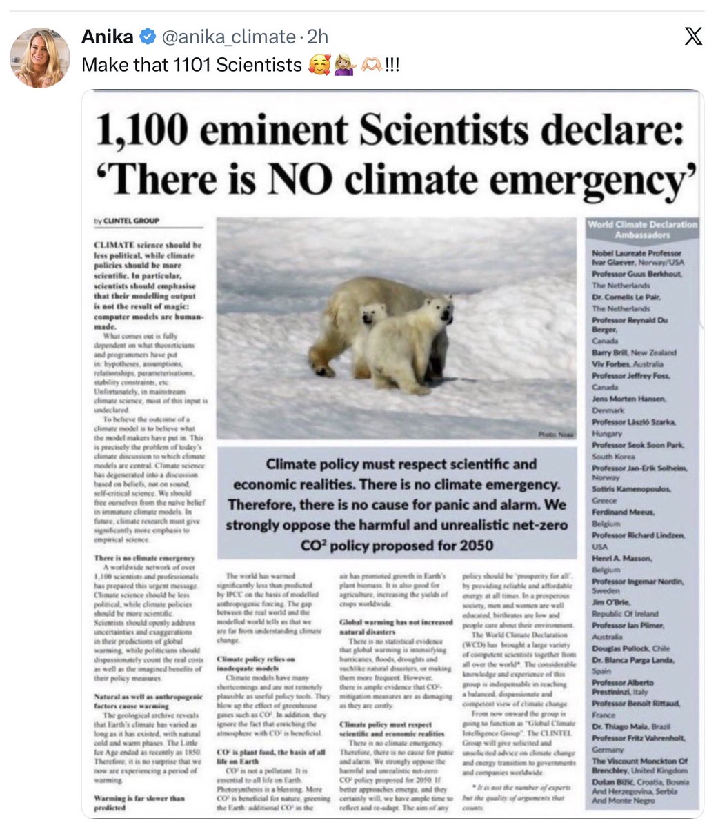 Dr Jill Belch tweet media