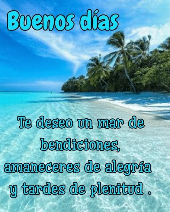 Manuel Bou sleiman tweet media