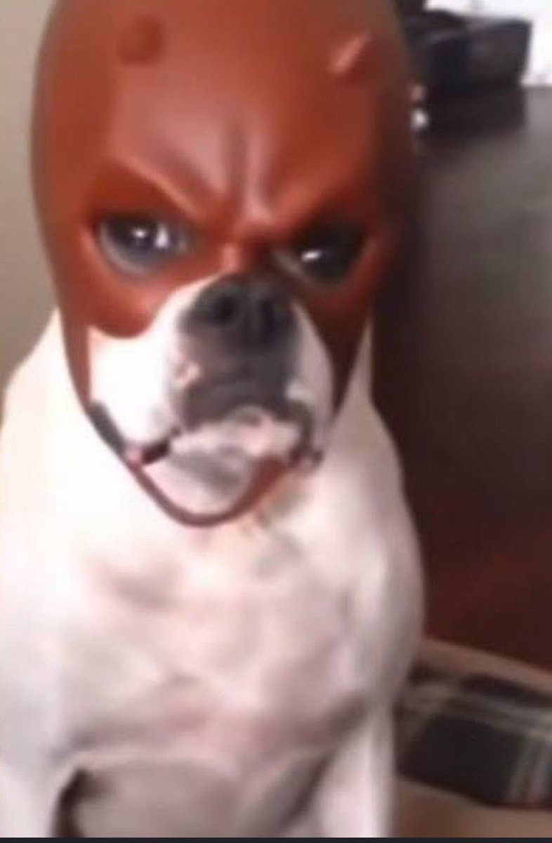 NessieDoes tweet media