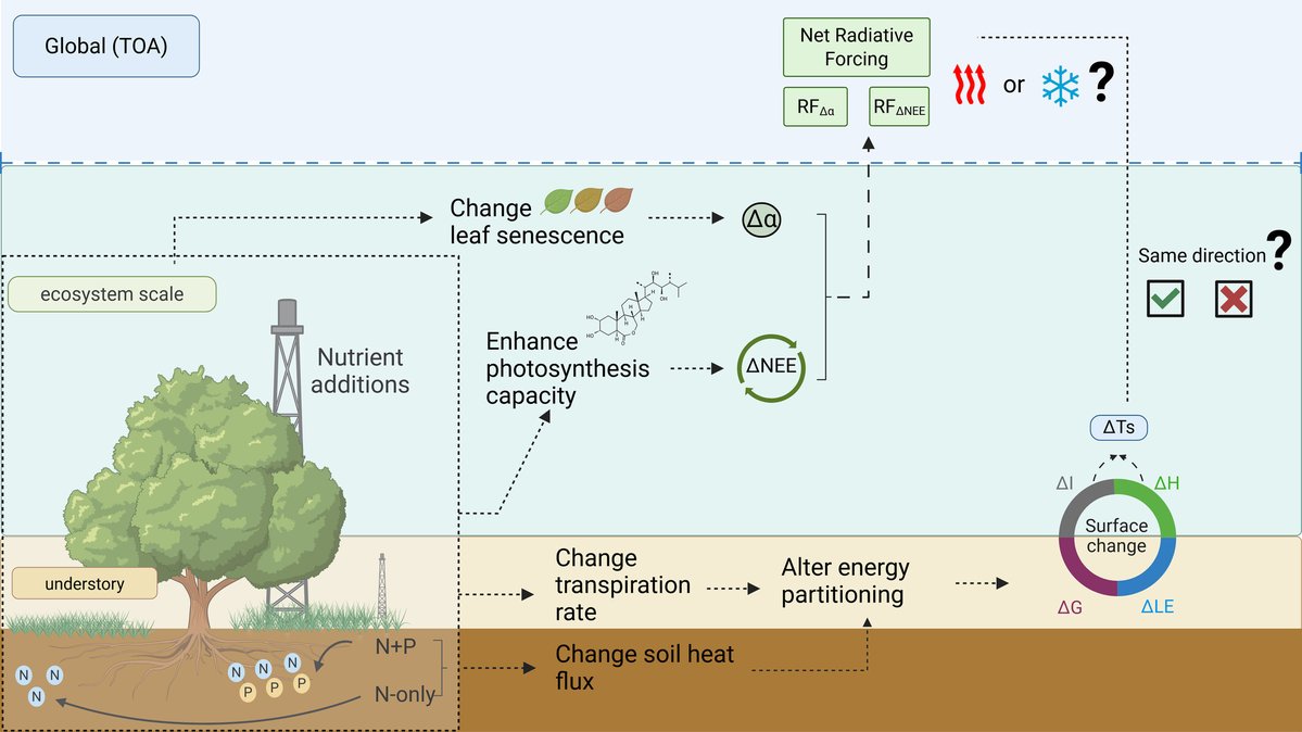 SpecLab CSIC tweet media