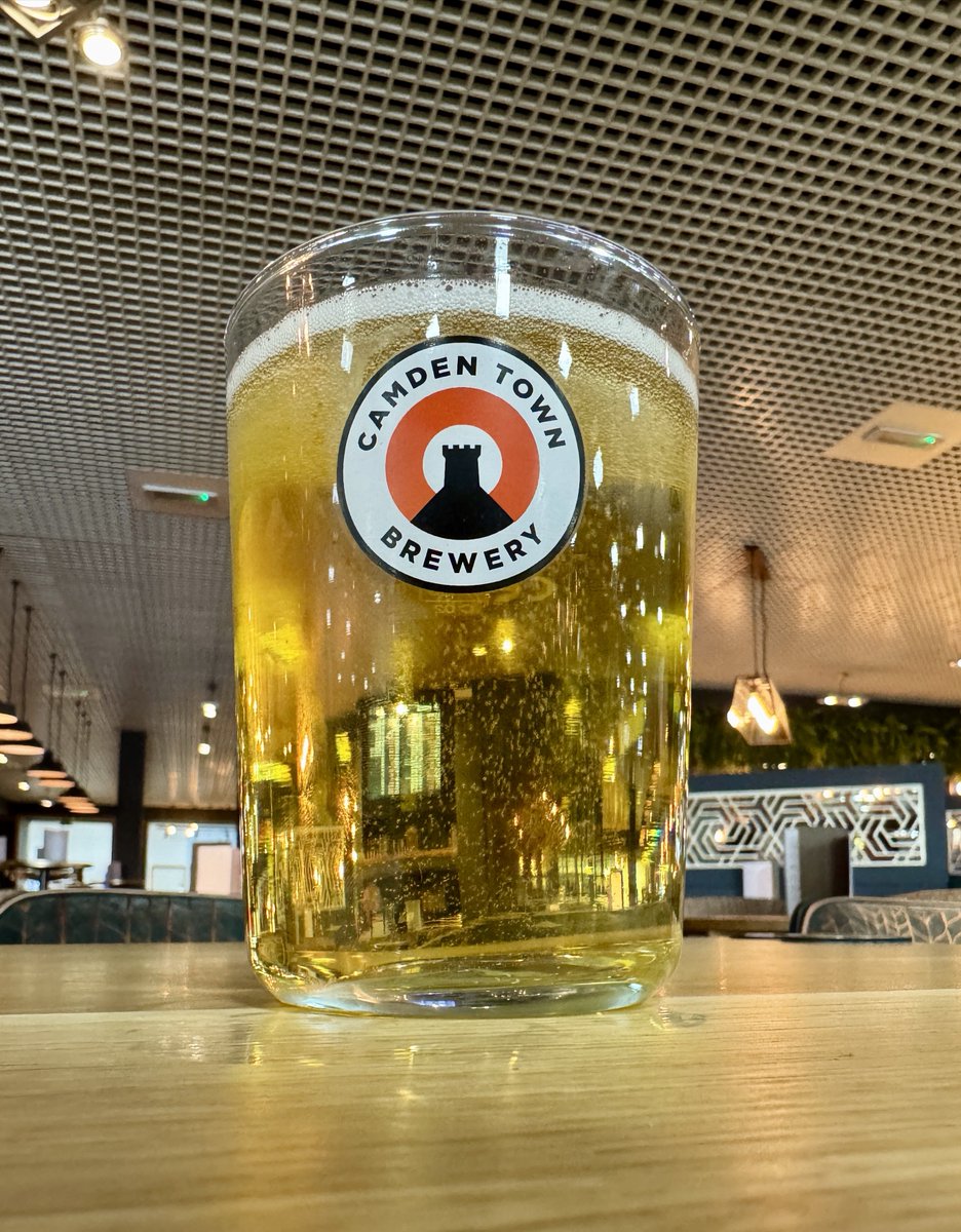 mediocre modeller/Tim tweet media