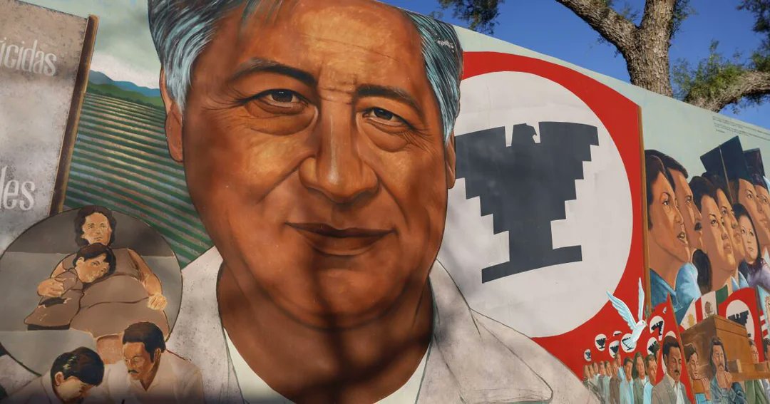 SNAP Survivors Network of those Abused by Priests tweet media