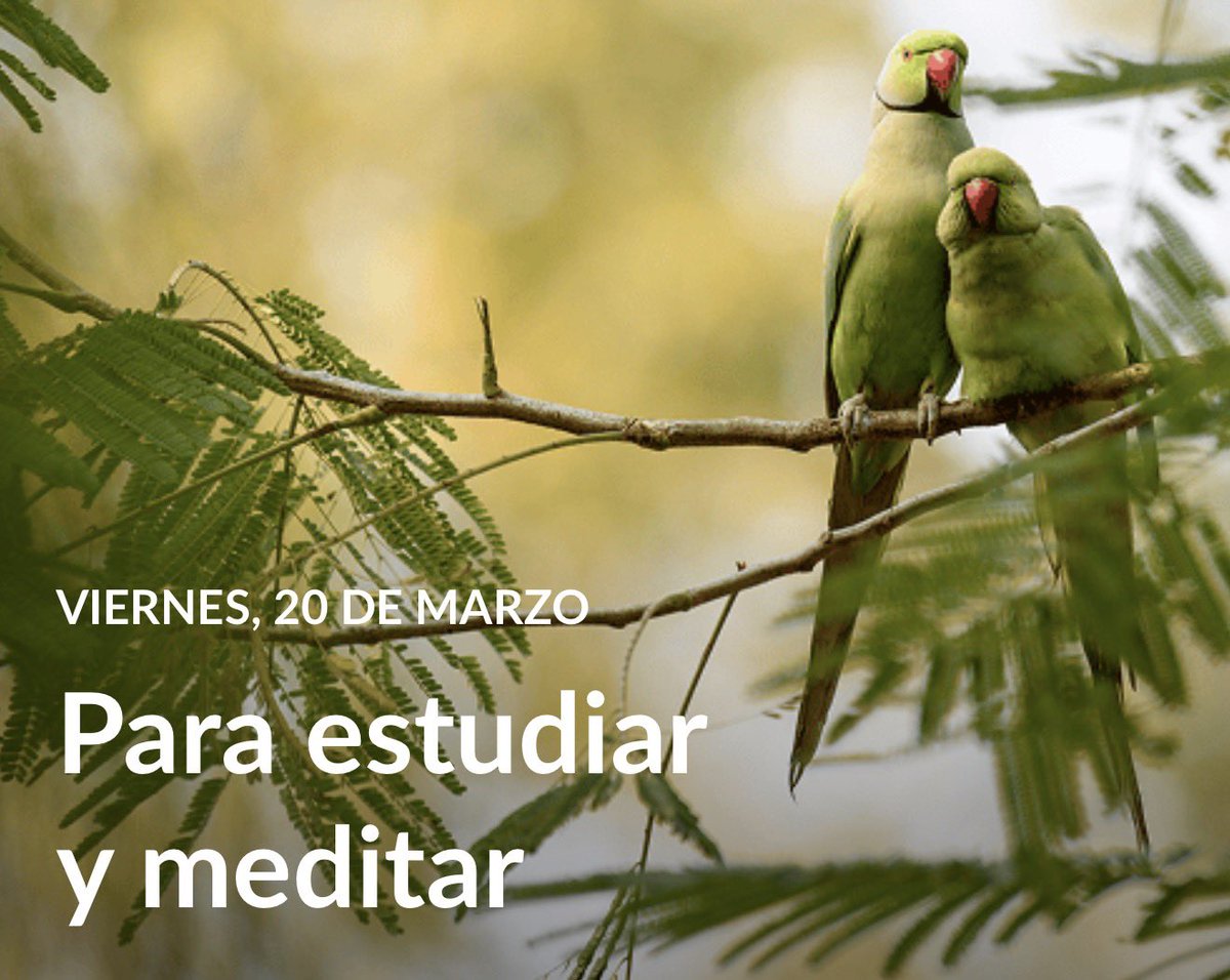 César Terrones Mayta tweet media