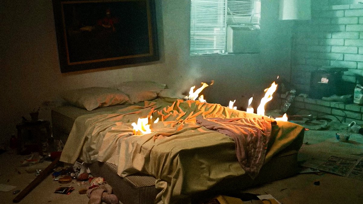 fagonetta tweet media