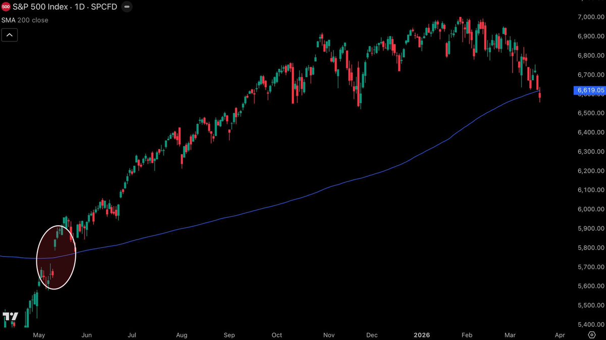 Crypto Rover tweet media