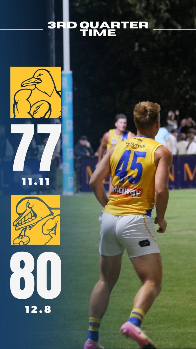 Williamstown FC tweet media