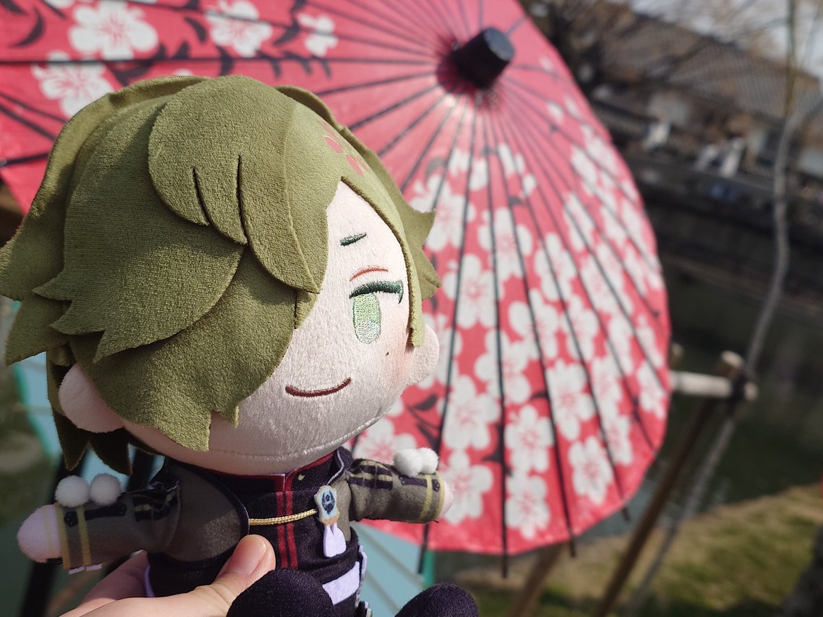 いぬき° tweet media