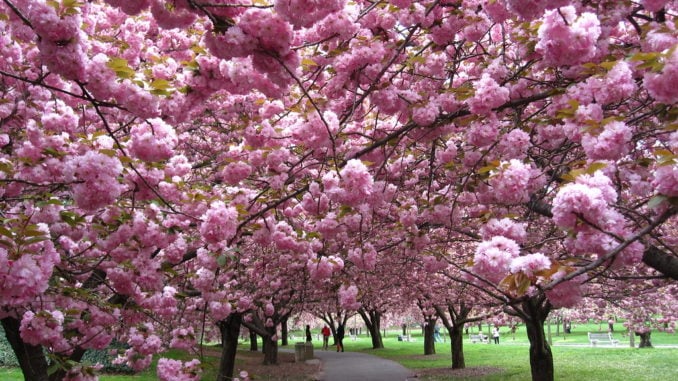 .griffonnage@orange.frLYNE-ROSE tweet media