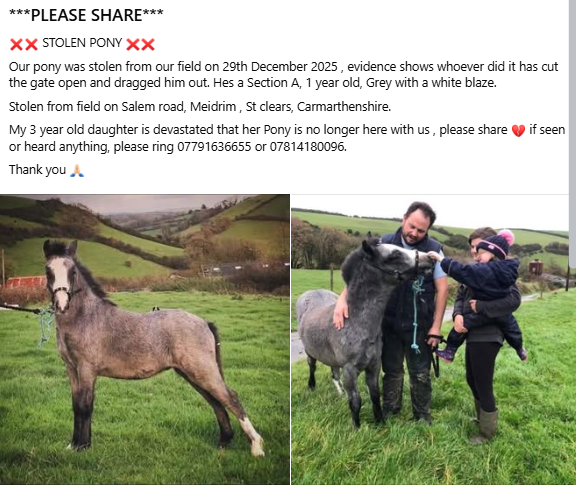 Pawprints Dog Rescue (UK) tweet media