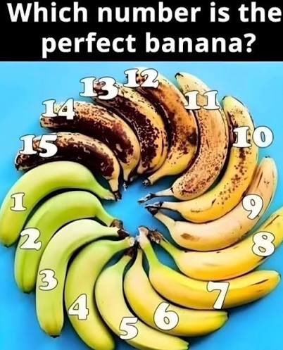 ANDRZEJ KARPINSKI tweet media