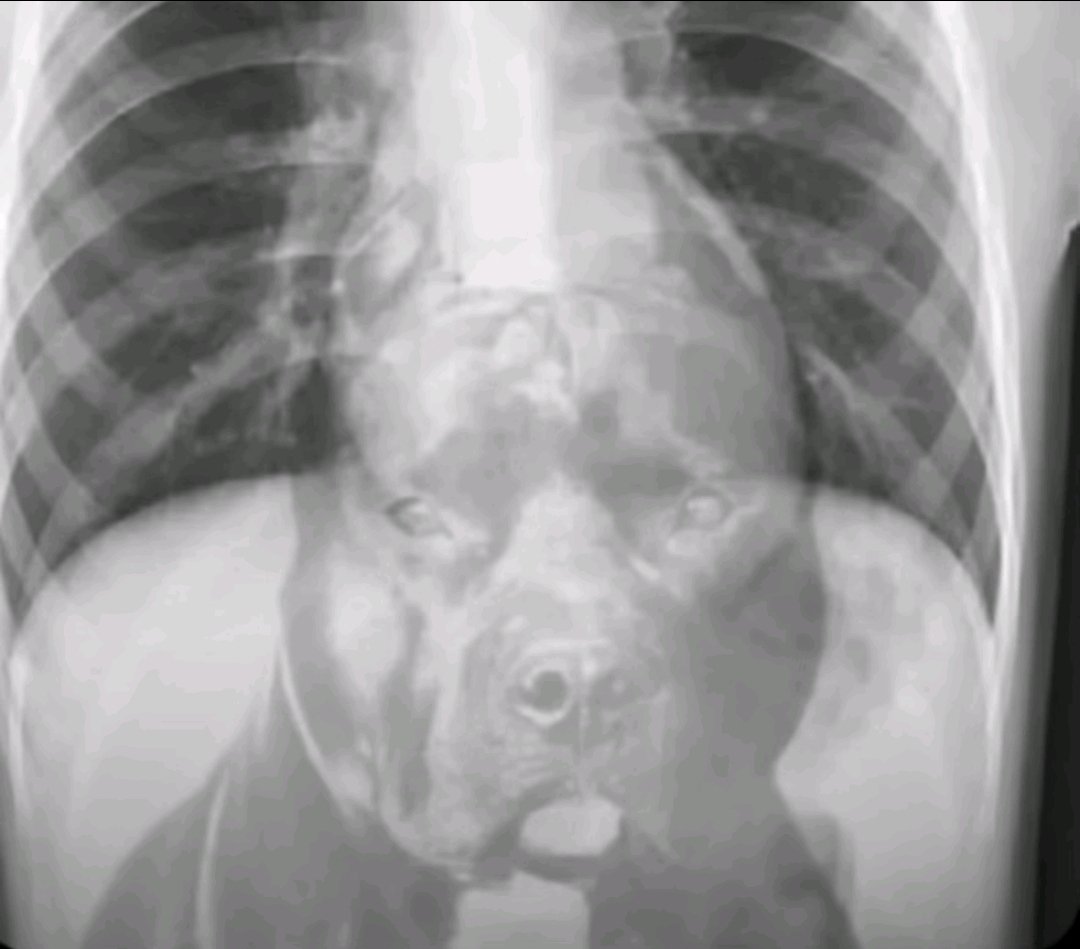 sorfb4kk🆖 tweet media