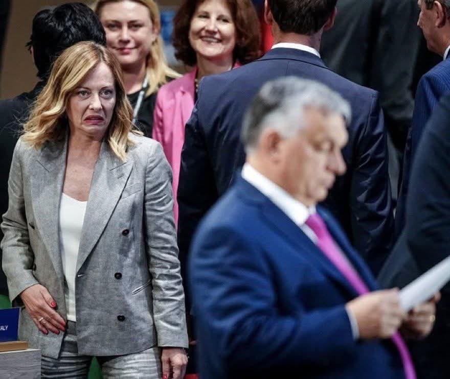 Marcin Najman tweet media