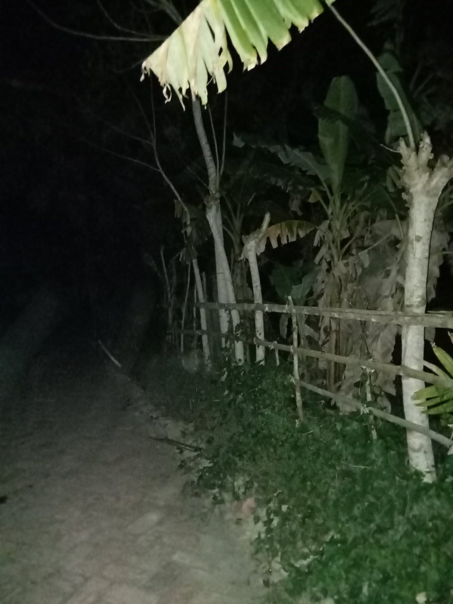 catojec ✦ tweet media