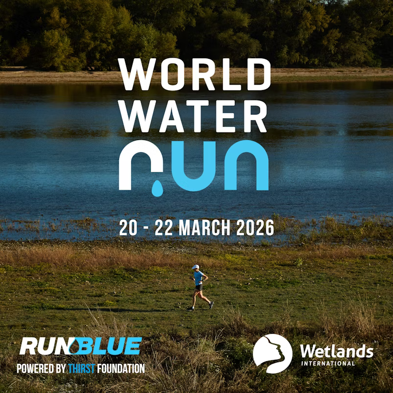 IWAPublishing tweet media