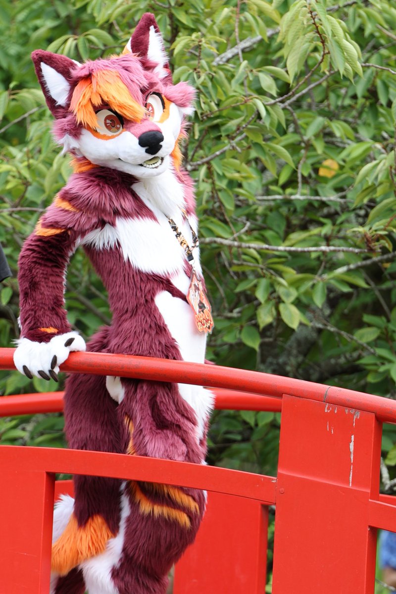 Prerayd 🔜 #ATT1 tweet media