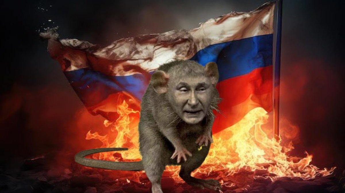 GratDauf 🇨🇵 🇪🇺 NiRN NiLFI tweet media