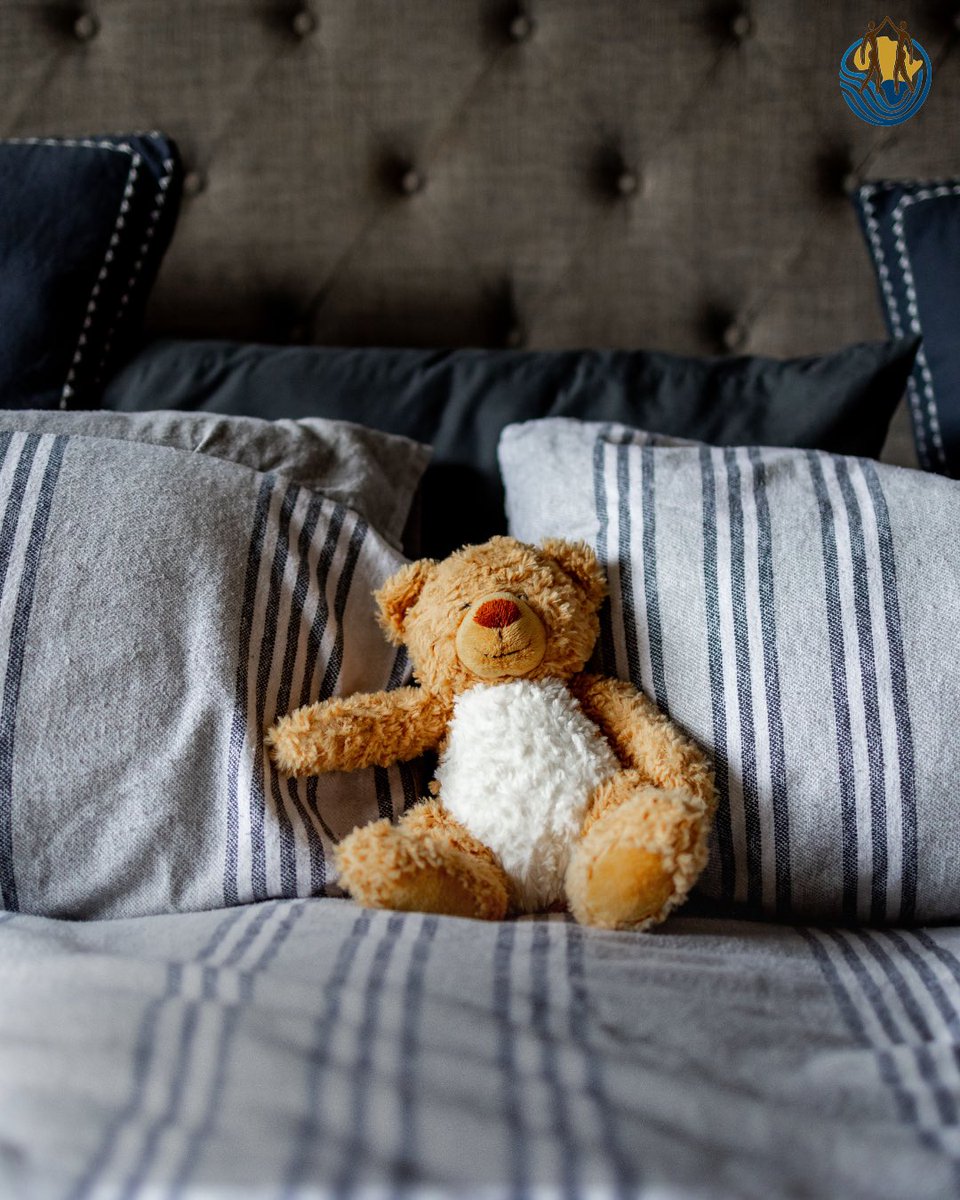 The True Cost of Alcohol - By SAAPA tweet media