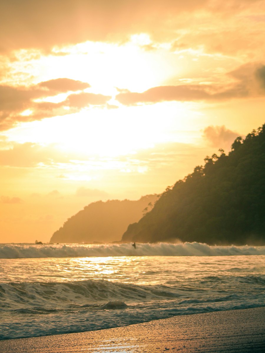 Jeremy Madmartigan tweet media