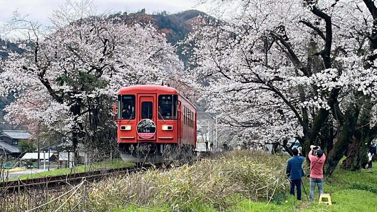 🍏🌸 こはぅ 🌸🍎 tweet media