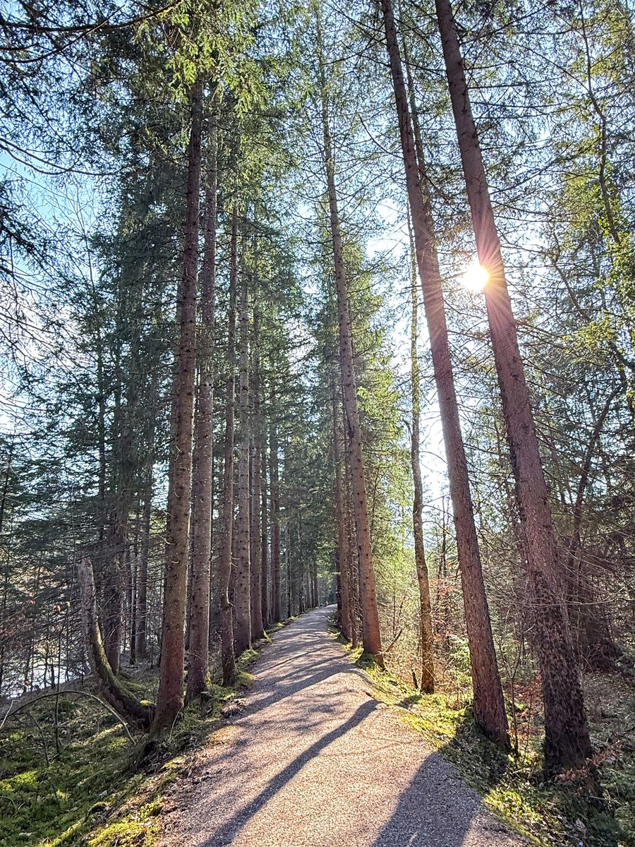 KaiDiekmann's tweet image. Running Rottach!❤️🌞 #10k