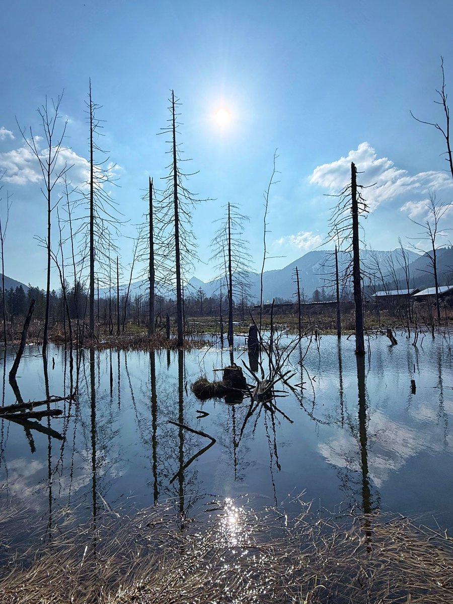 KaiDiekmann's tweet image. Running Rottach!❤️🌞 #10k