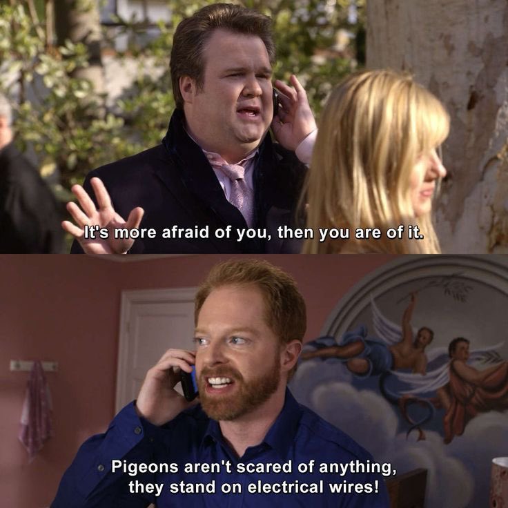 only sitcom tweet media