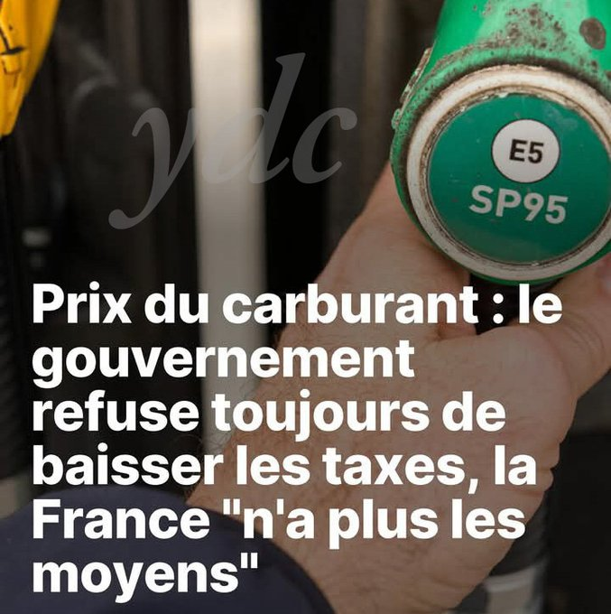 Fleur Morel tweet media