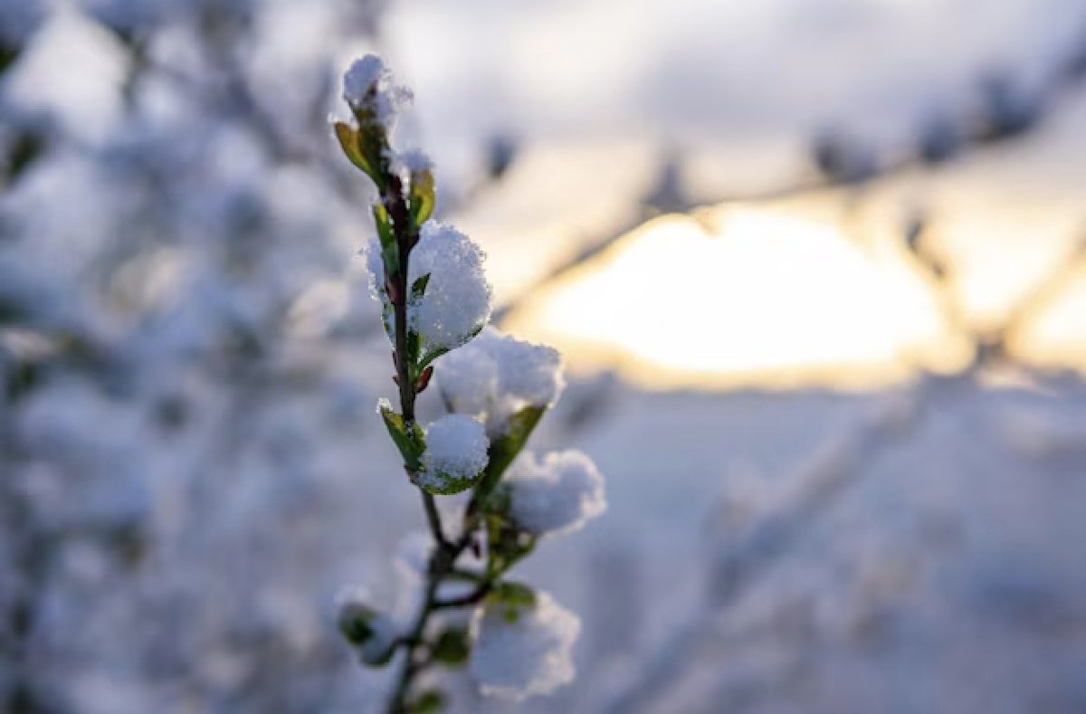 Andi Marchal, Author tweet media