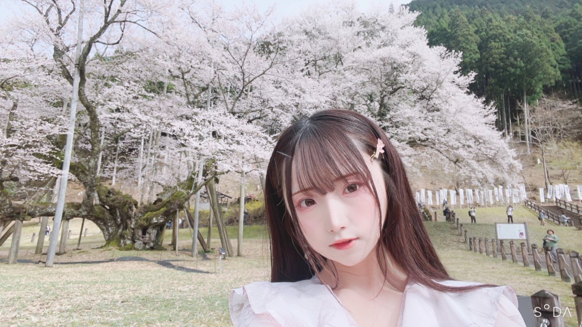 🍏🌸 こはぅ 🌸🍎 tweet media