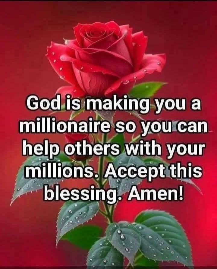 ProgressCode🌺 tweet media