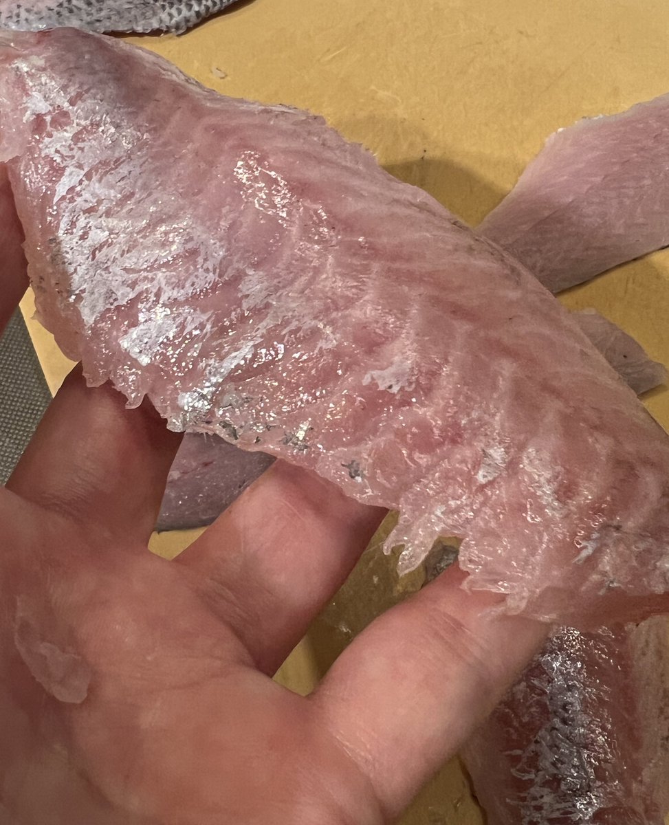 C.S.Model Design WF6-10-08 tweet media